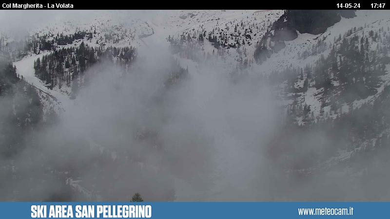 Webcam Pista Le Coste - Passo San Pellegrino, Dolomiti Superski